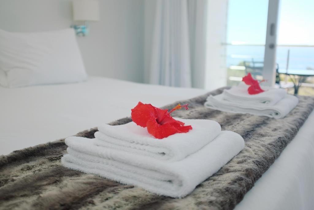 ケープタウンBright Camps Bay Loft With Stunning Views And Shared Poolアパートメント エクステリア 写真